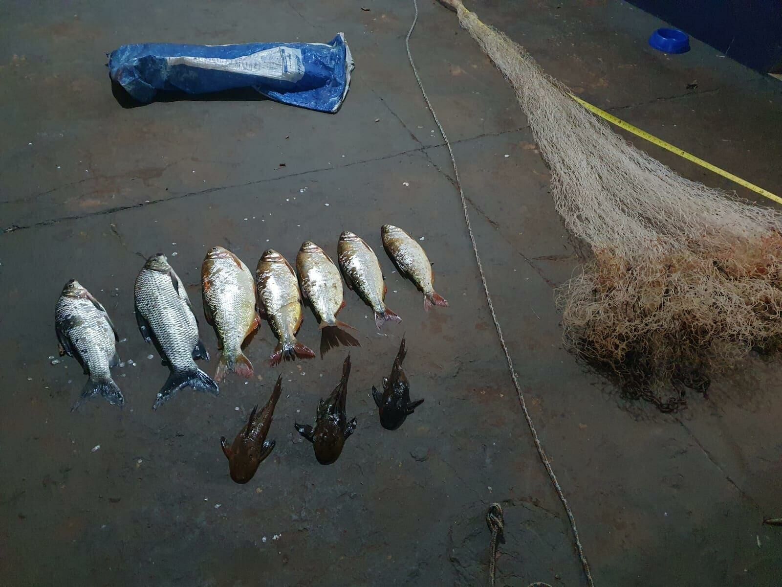 Imagem de compartilhamento para o artigo PMA de São Gabriel do Oeste prende quatro homens por pesca ilegal no rio Coxim da MS Todo dia